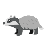 Team Honey Badger